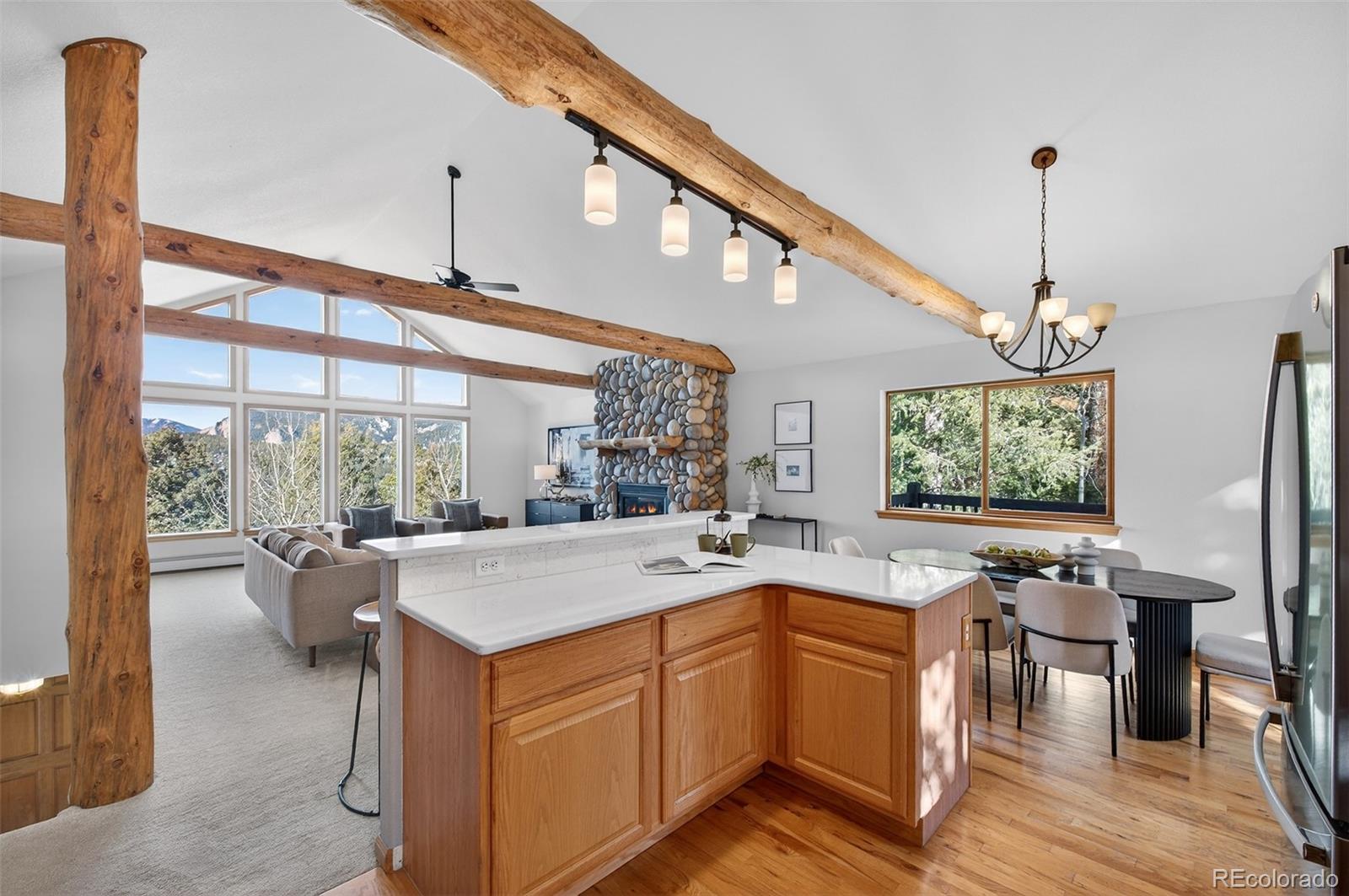 MLS Image #16 for 11656  leavenworth drive,conifer, Colorado