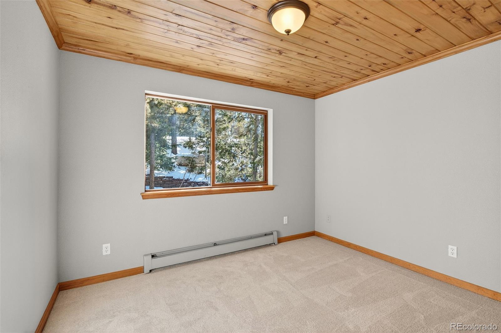 MLS Image #24 for 11656  leavenworth drive,conifer, Colorado