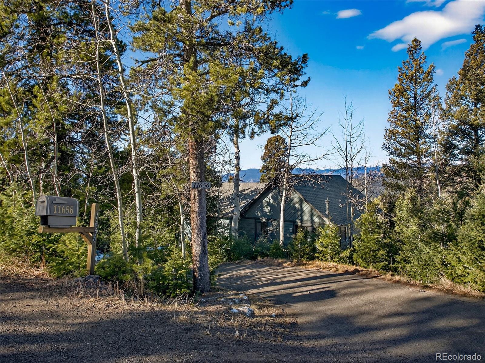 MLS Image #3 for 11656  leavenworth drive,conifer, Colorado