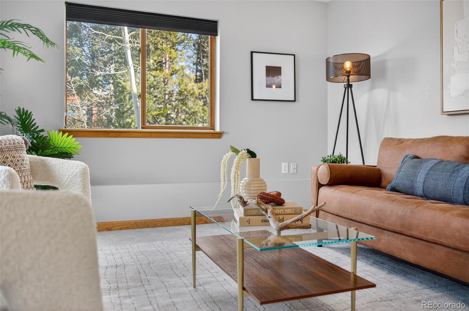 MLS Image #30 for 11656  leavenworth drive,conifer, Colorado