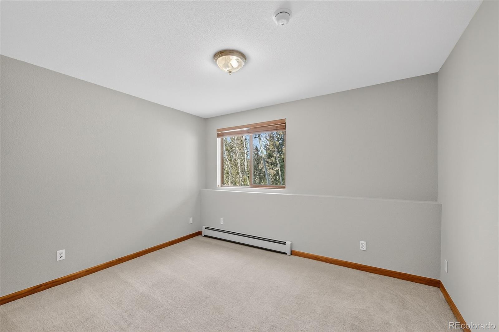 MLS Image #33 for 11656  leavenworth drive,conifer, Colorado