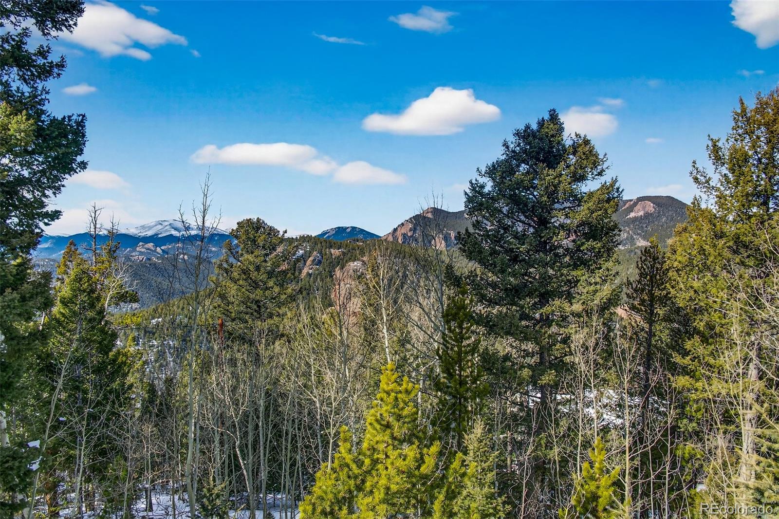 MLS Image #42 for 11656  leavenworth drive,conifer, Colorado