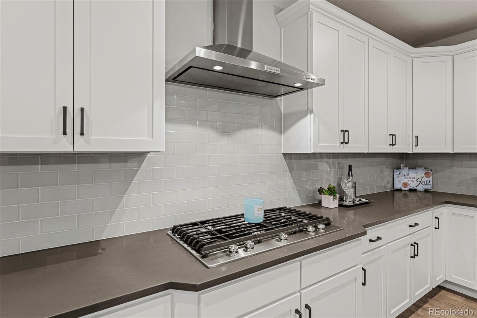 MLS Image #11 for 11582  tyrolite trail,parker, Colorado
