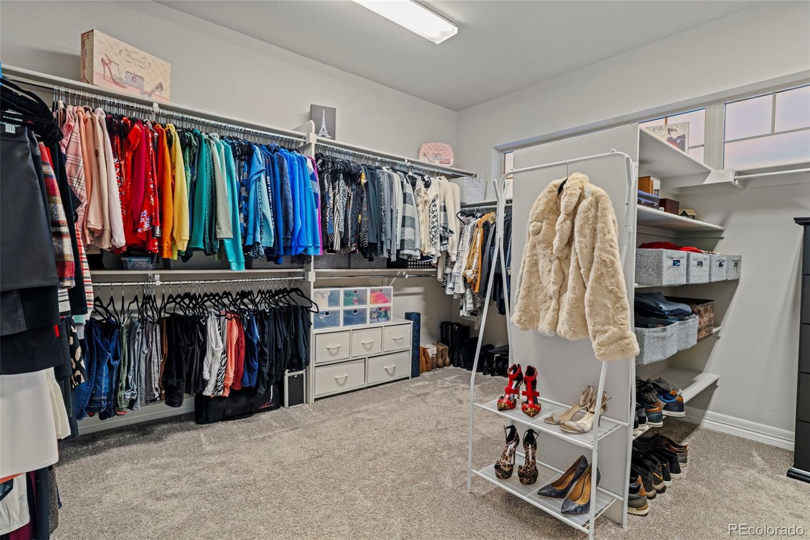 MLS Image #18 for 11582  tyrolite trail,parker, Colorado