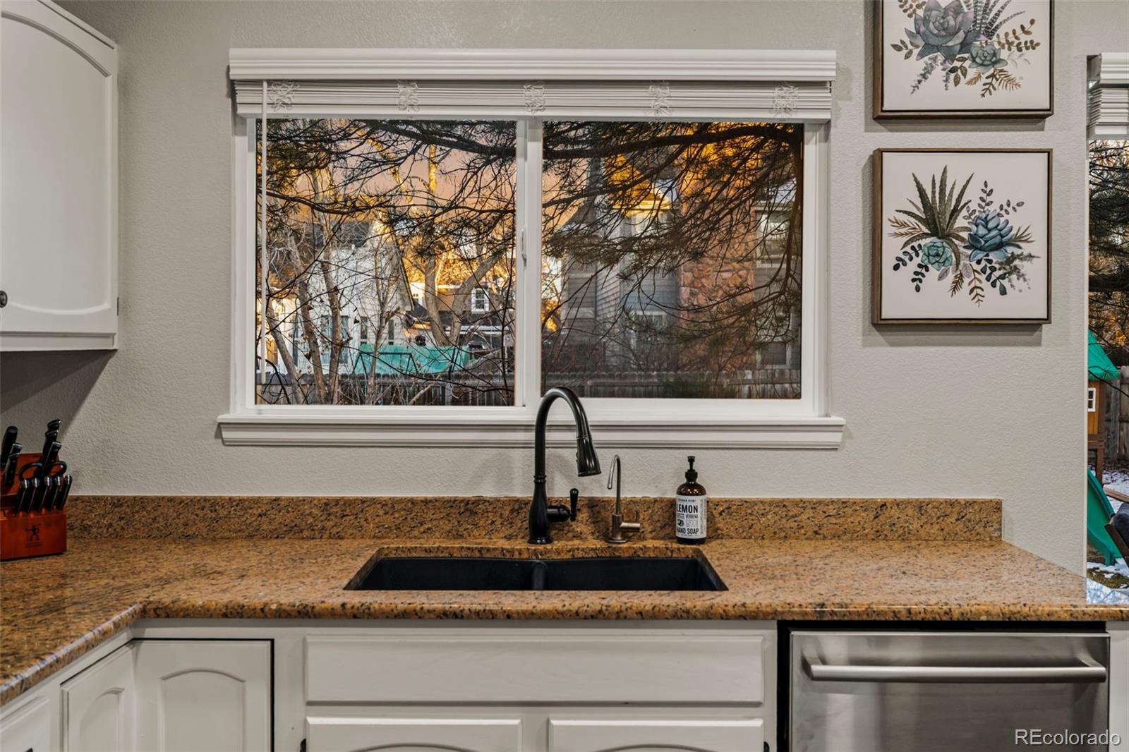 MLS Image #16 for 12836 s silver plume street,parker, Colorado