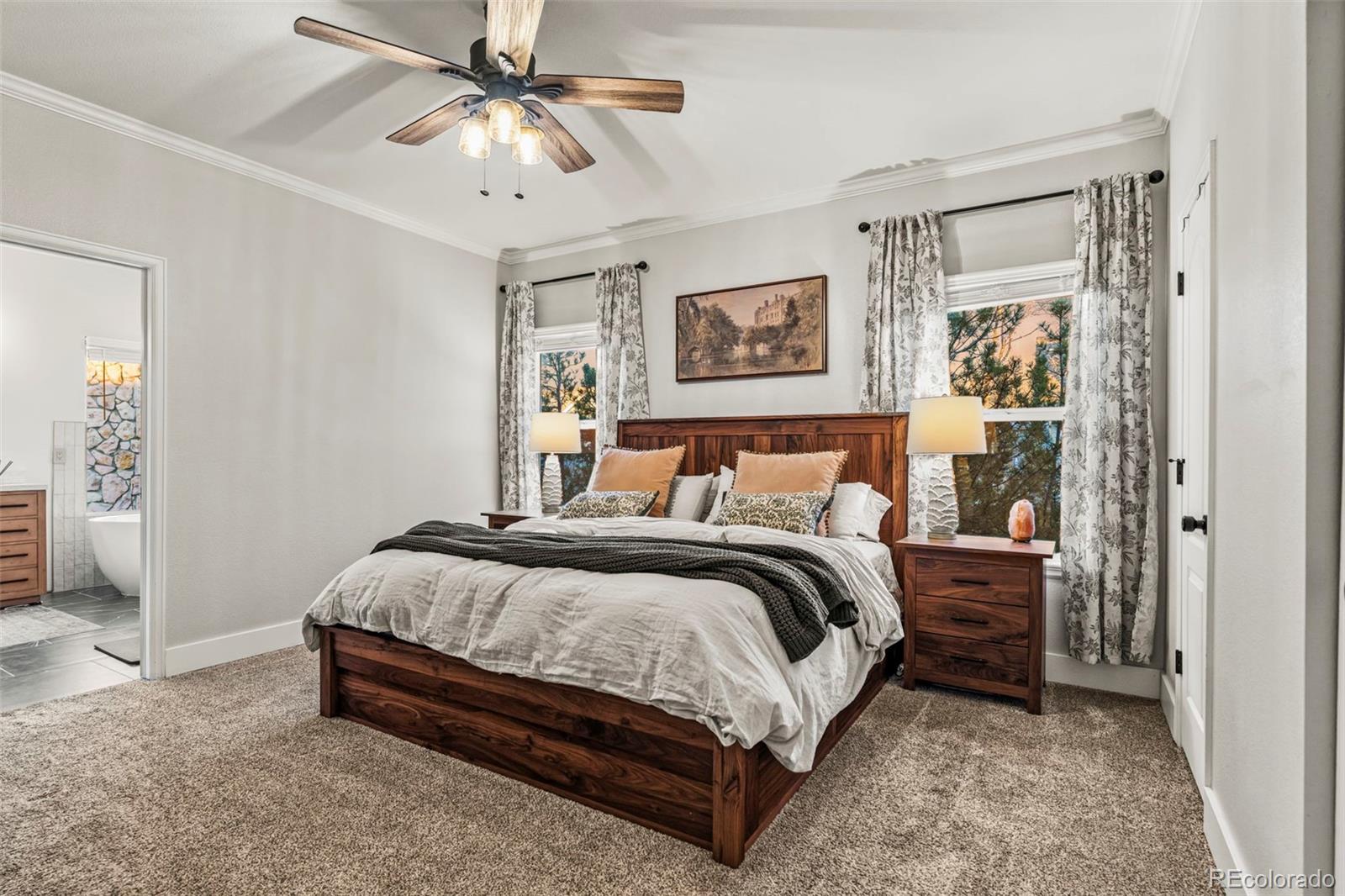 MLS Image #19 for 12836 s silver plume street,parker, Colorado