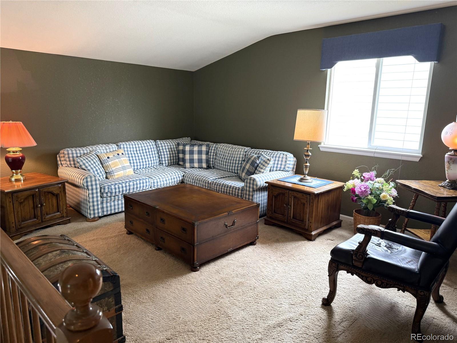 MLS Image #16 for 11387 s blackthorn court,parker, Colorado