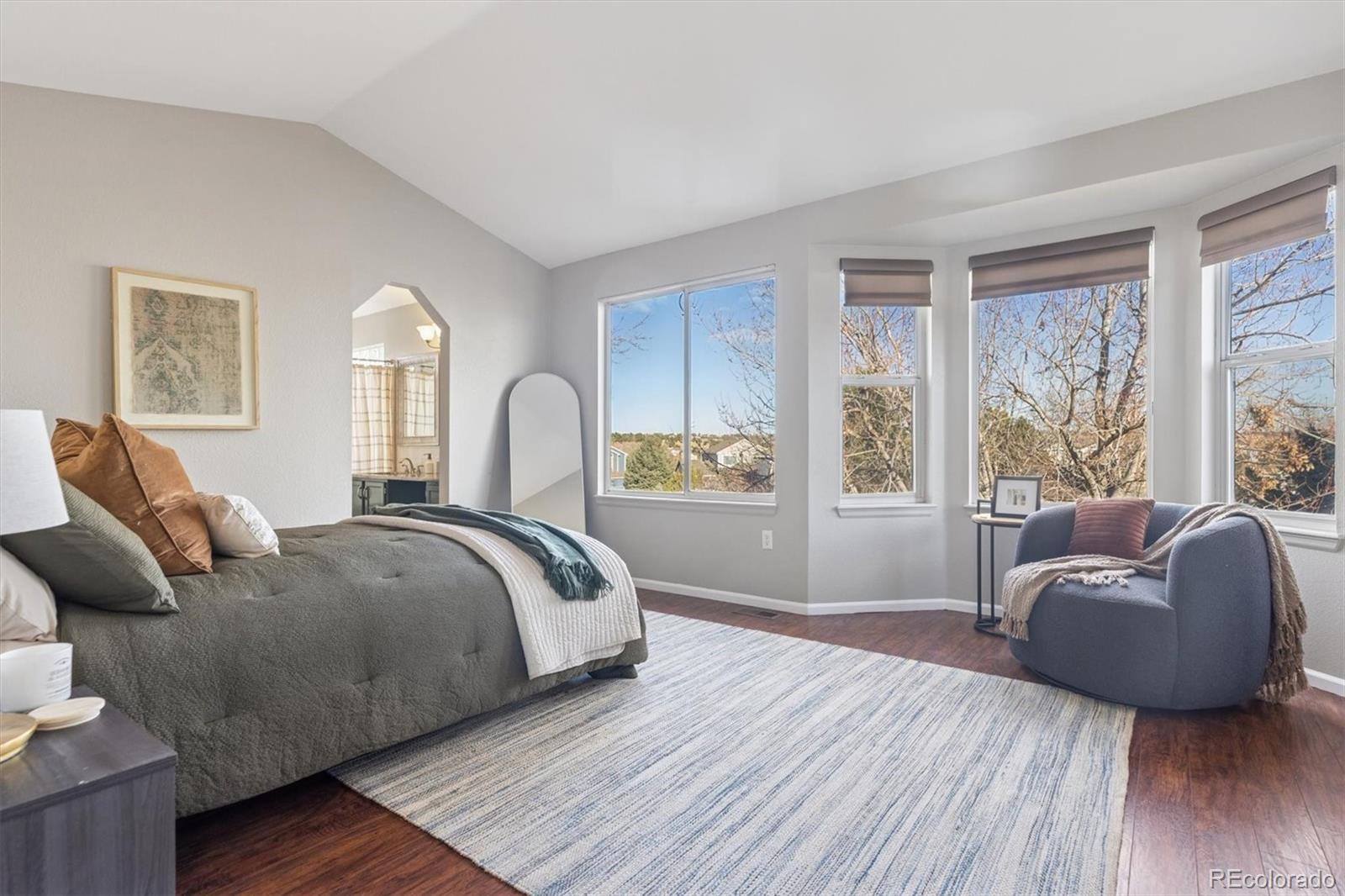 MLS Image #22 for 10950  furlong court,parker, Colorado