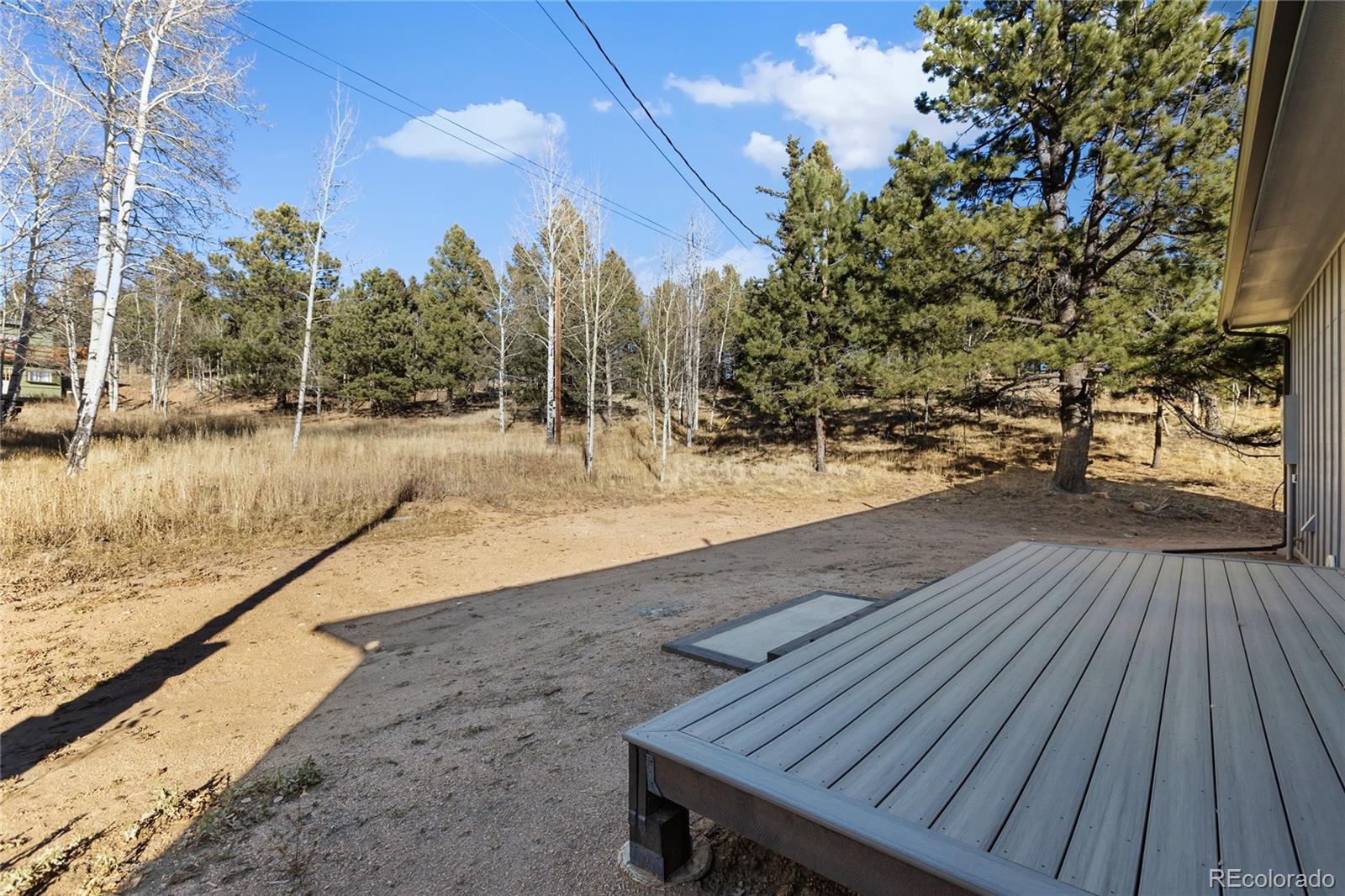 MLS Image #38 for 237  columbine drive,woodland park, Colorado