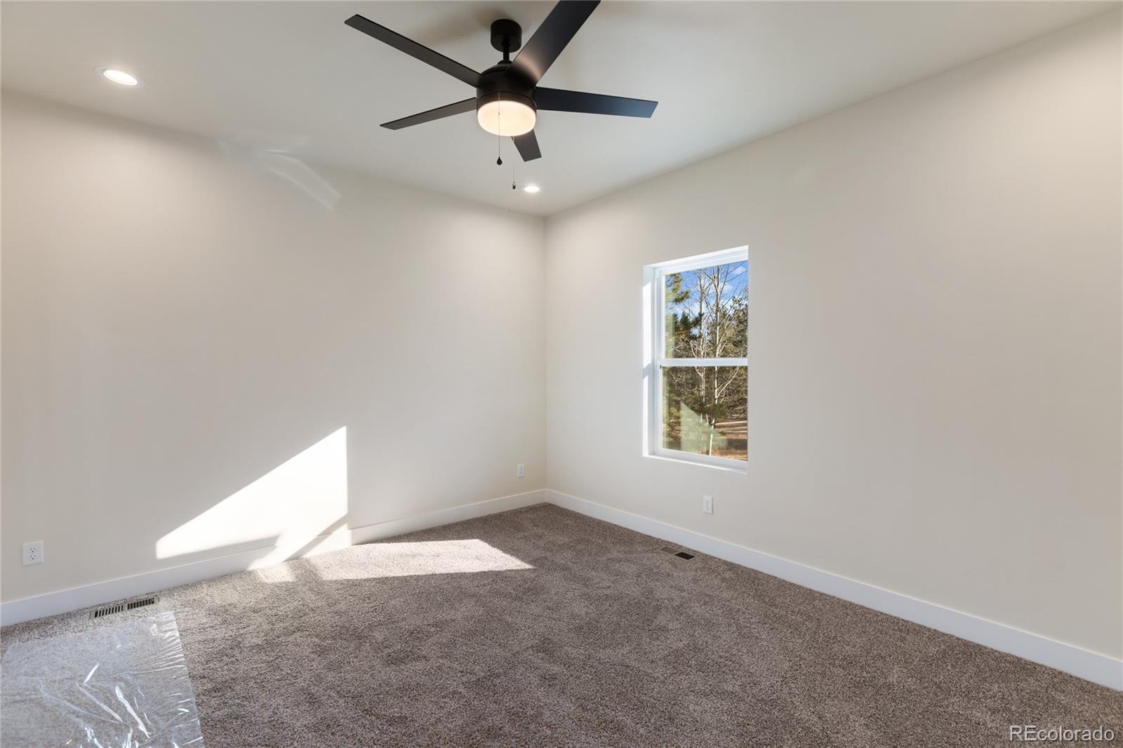 MLS Image #8 for 237  columbine drive,woodland park, Colorado