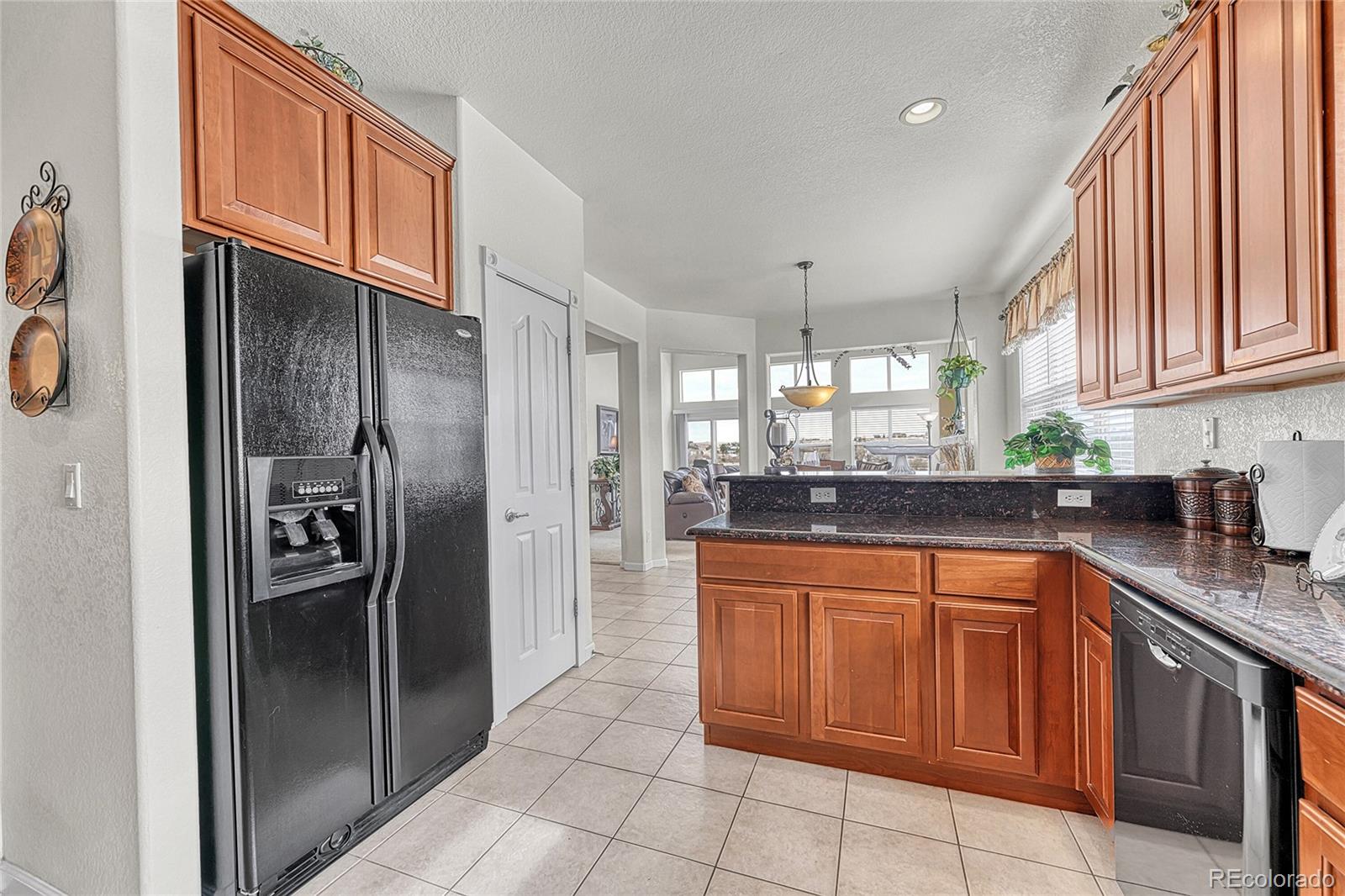 MLS Image #22 for 2398  elkhorn street,parker, Colorado