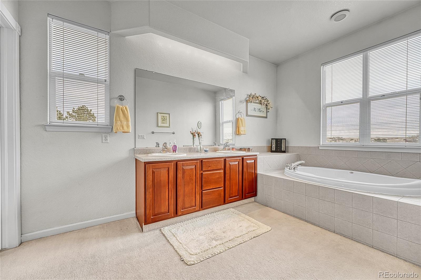 MLS Image #38 for 2398  elkhorn street,parker, Colorado