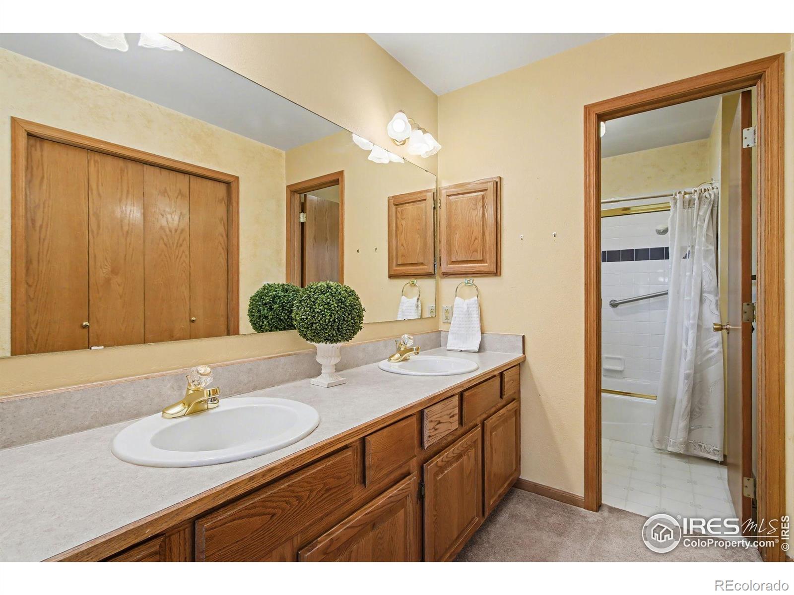 MLS Image #15 for 1390  redwood drive,windsor, Colorado
