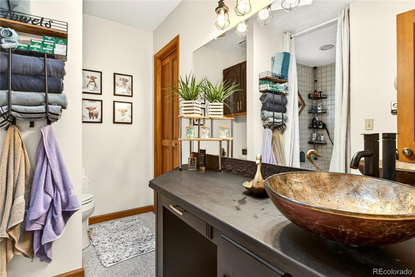 MLS Image #27 for 6570 s pike drive,larkspur, Colorado