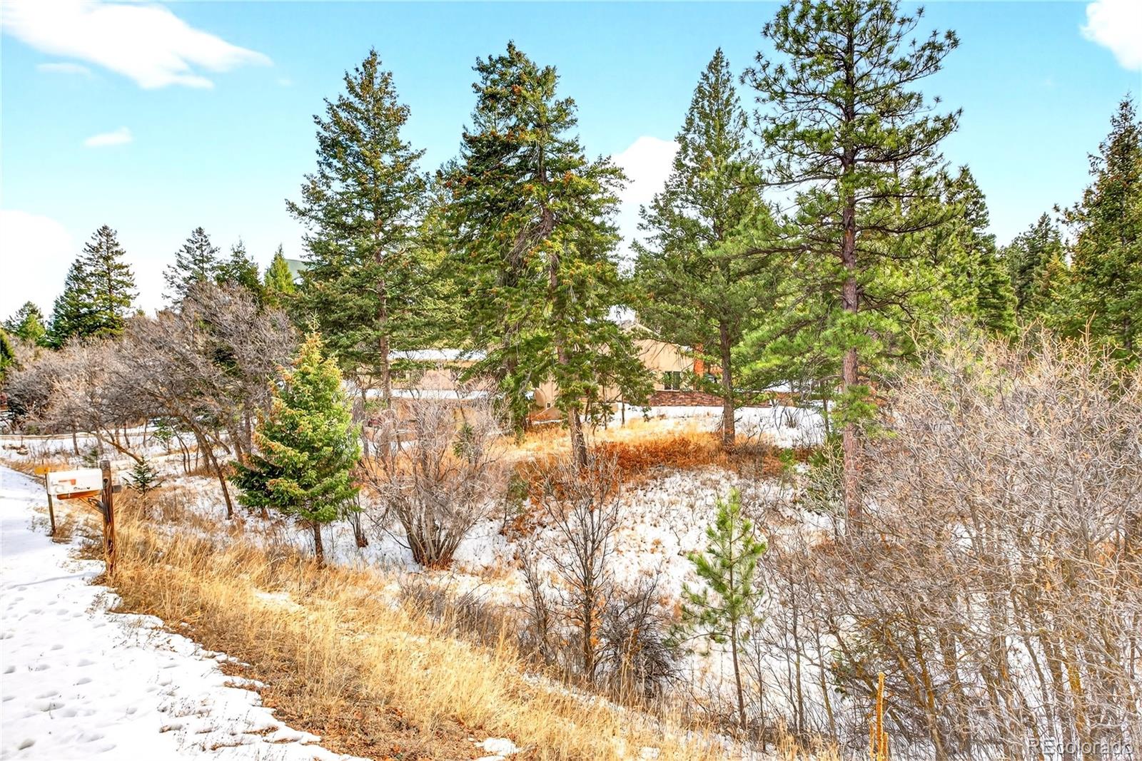 MLS Image #41 for 6570 s pike drive,larkspur, Colorado