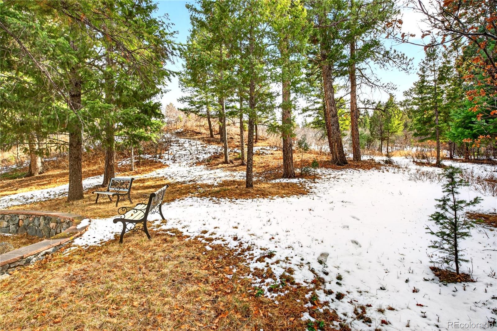 MLS Image #9 for 6570 s pike drive,larkspur, Colorado