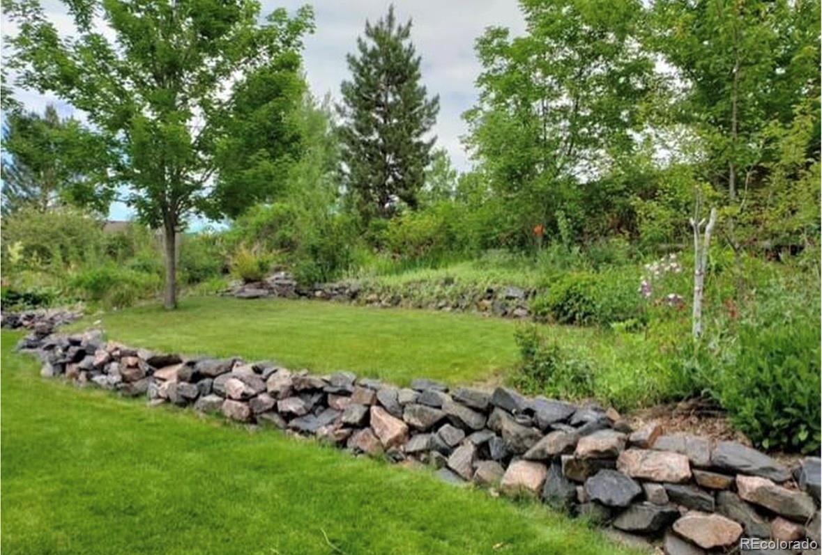 MLS Image #31 for 3559  craftsbury drive,highlands ranch, Colorado