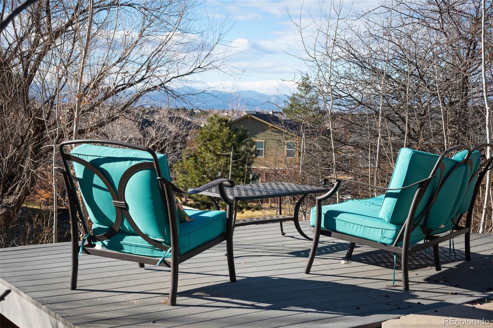 MLS Image #32 for 3559  craftsbury drive,highlands ranch, Colorado