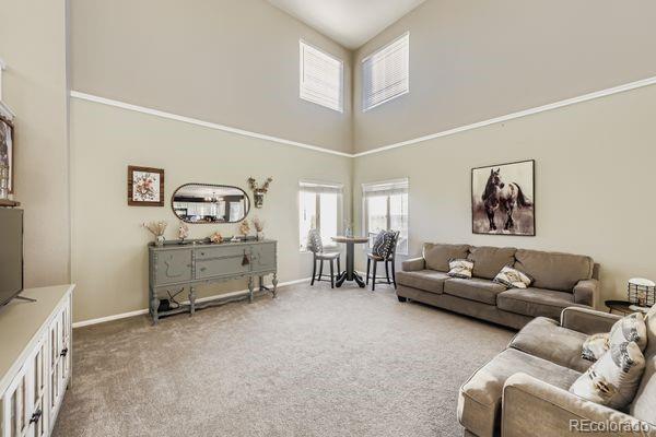MLS Image #10 for 4788  mt princeton street,brighton, Colorado