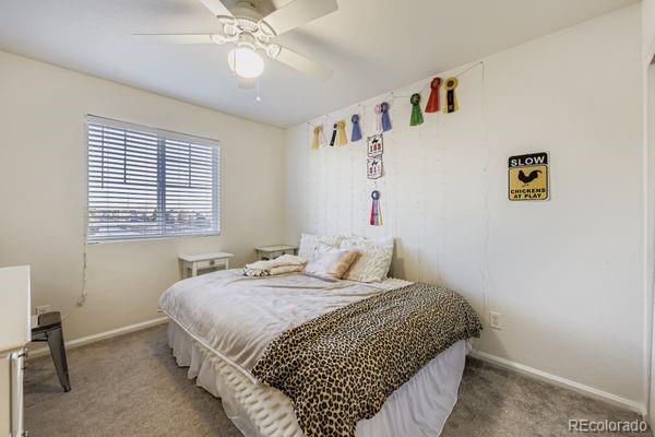 MLS Image #19 for 4788  mt princeton street,brighton, Colorado