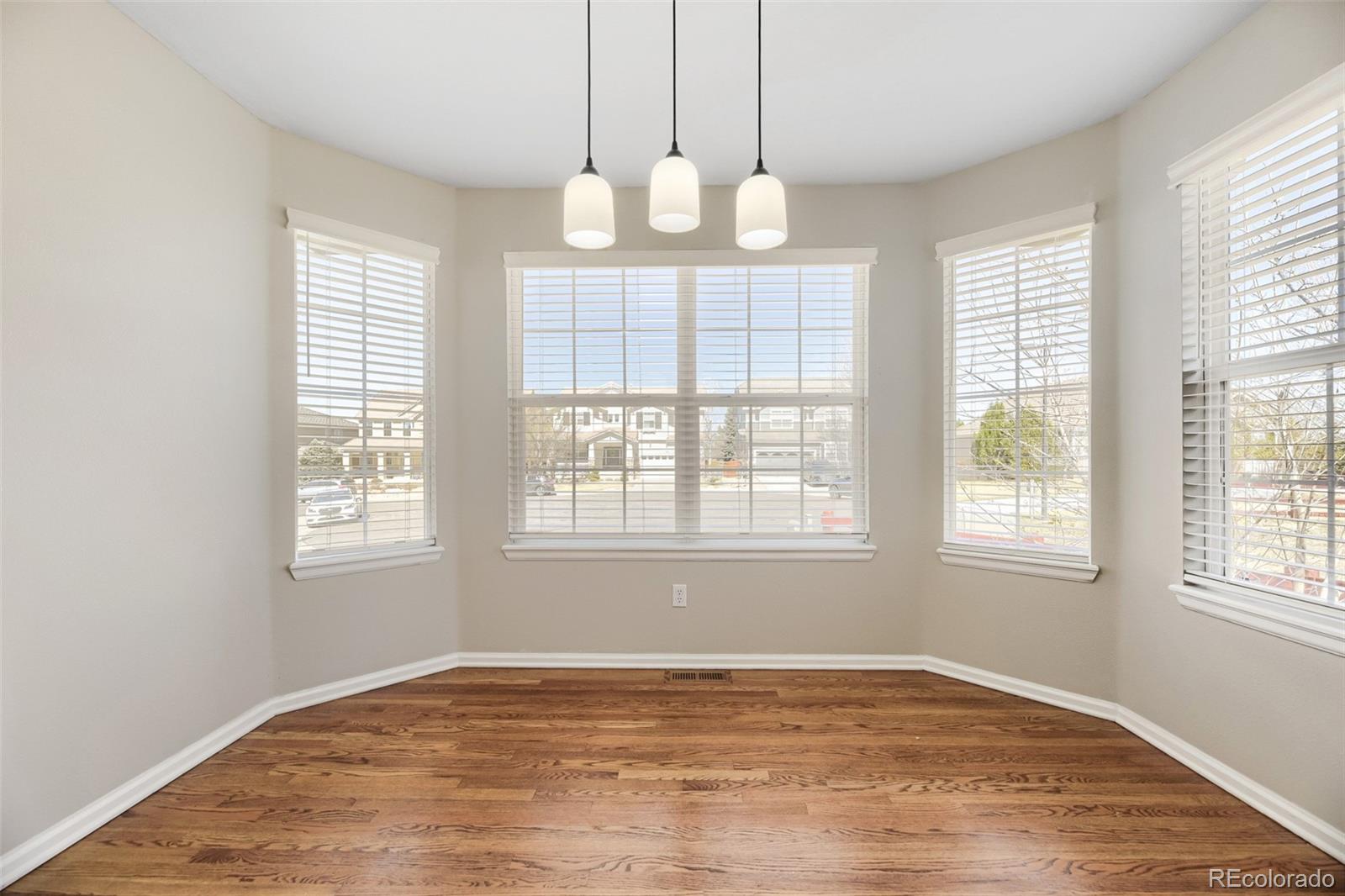 MLS Image #3 for 4048  blacktail court,castle rock, Colorado