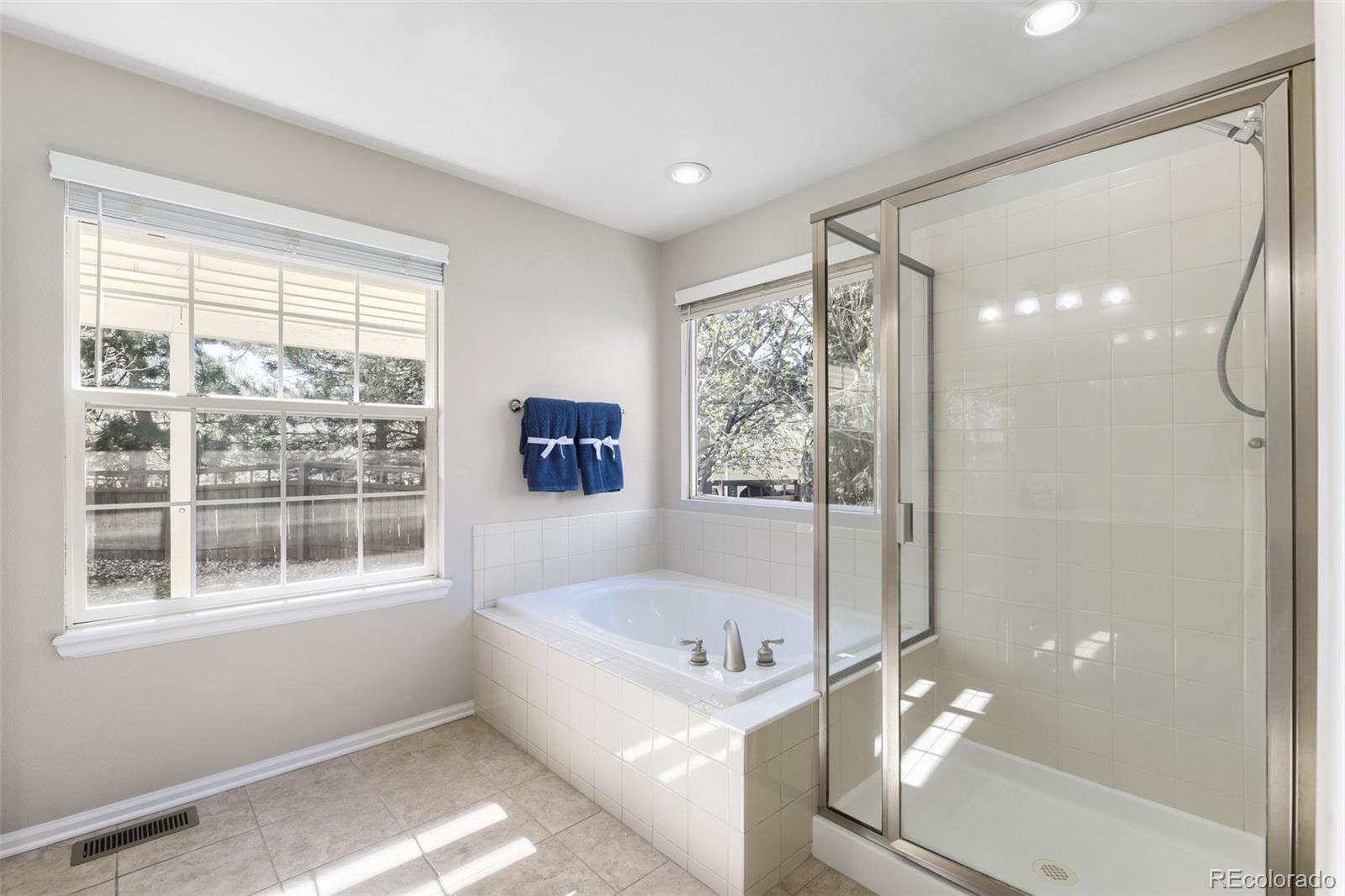 MLS Image #9 for 4048  blacktail court,castle rock, Colorado