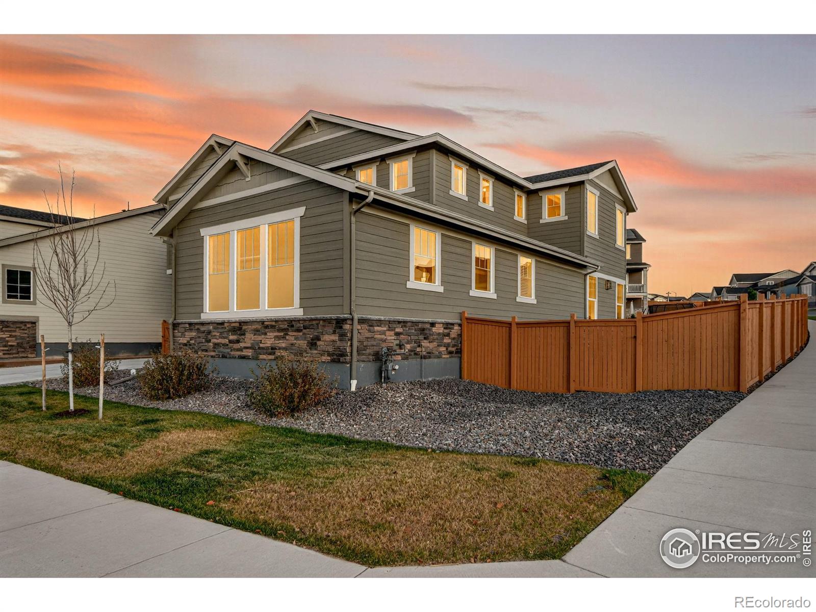 MLS Image #6 for 613  winterfield street,erie, Colorado