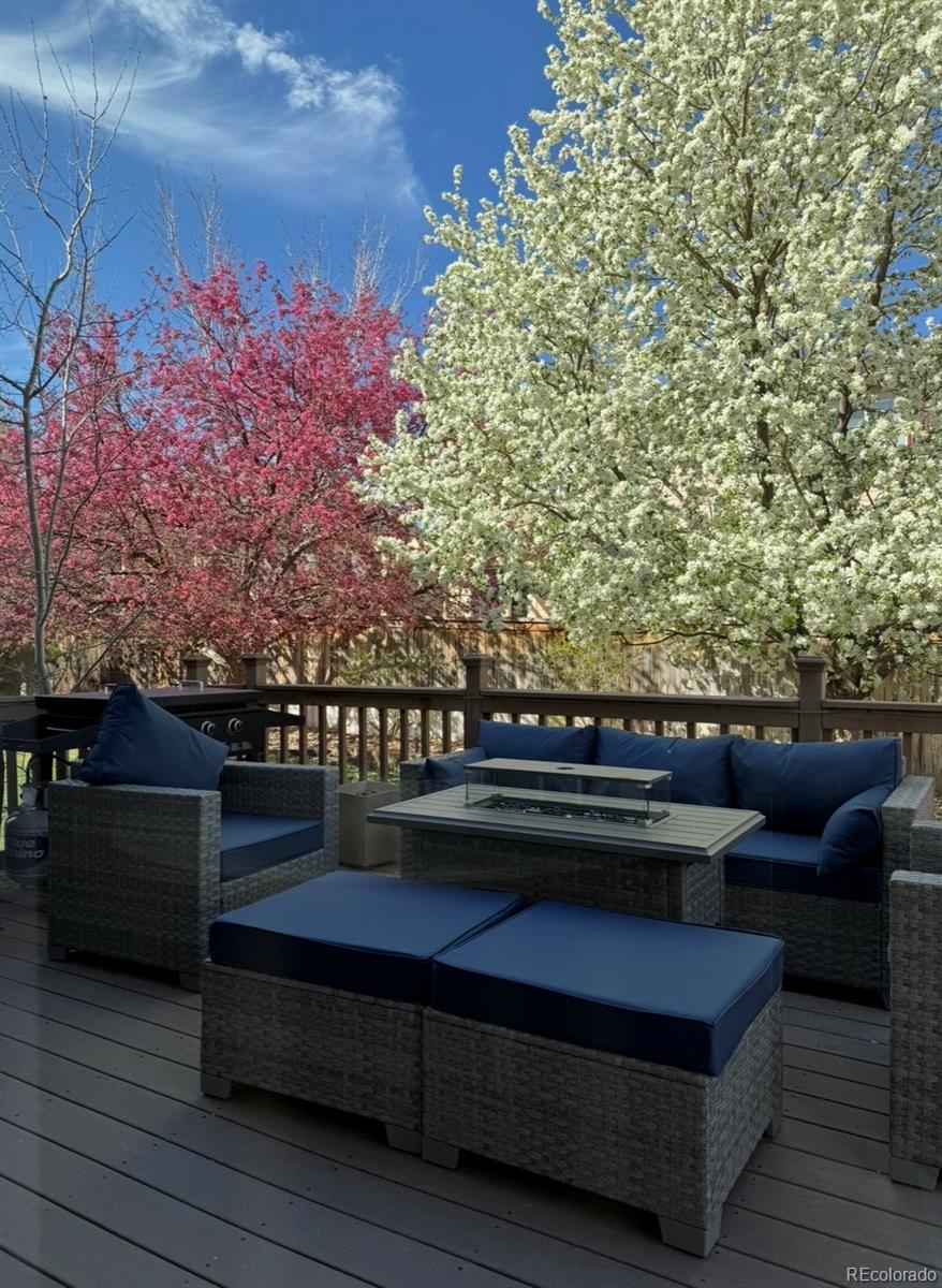 MLS Image #47 for 4748  bluegate drive,highlands ranch, Colorado