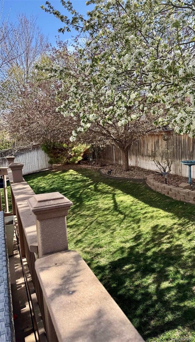 MLS Image #48 for 4748  bluegate drive,highlands ranch, Colorado