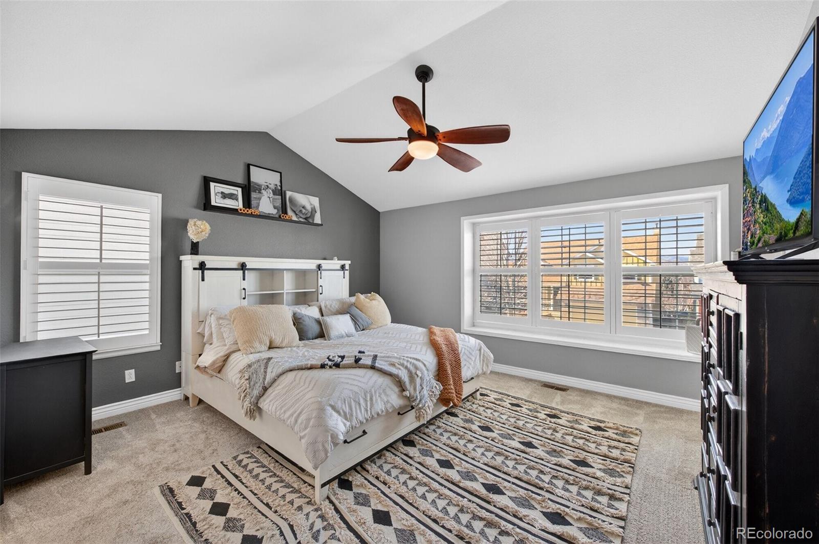 MLS Image #16 for 9774  bucknell court,highlands ranch, Colorado