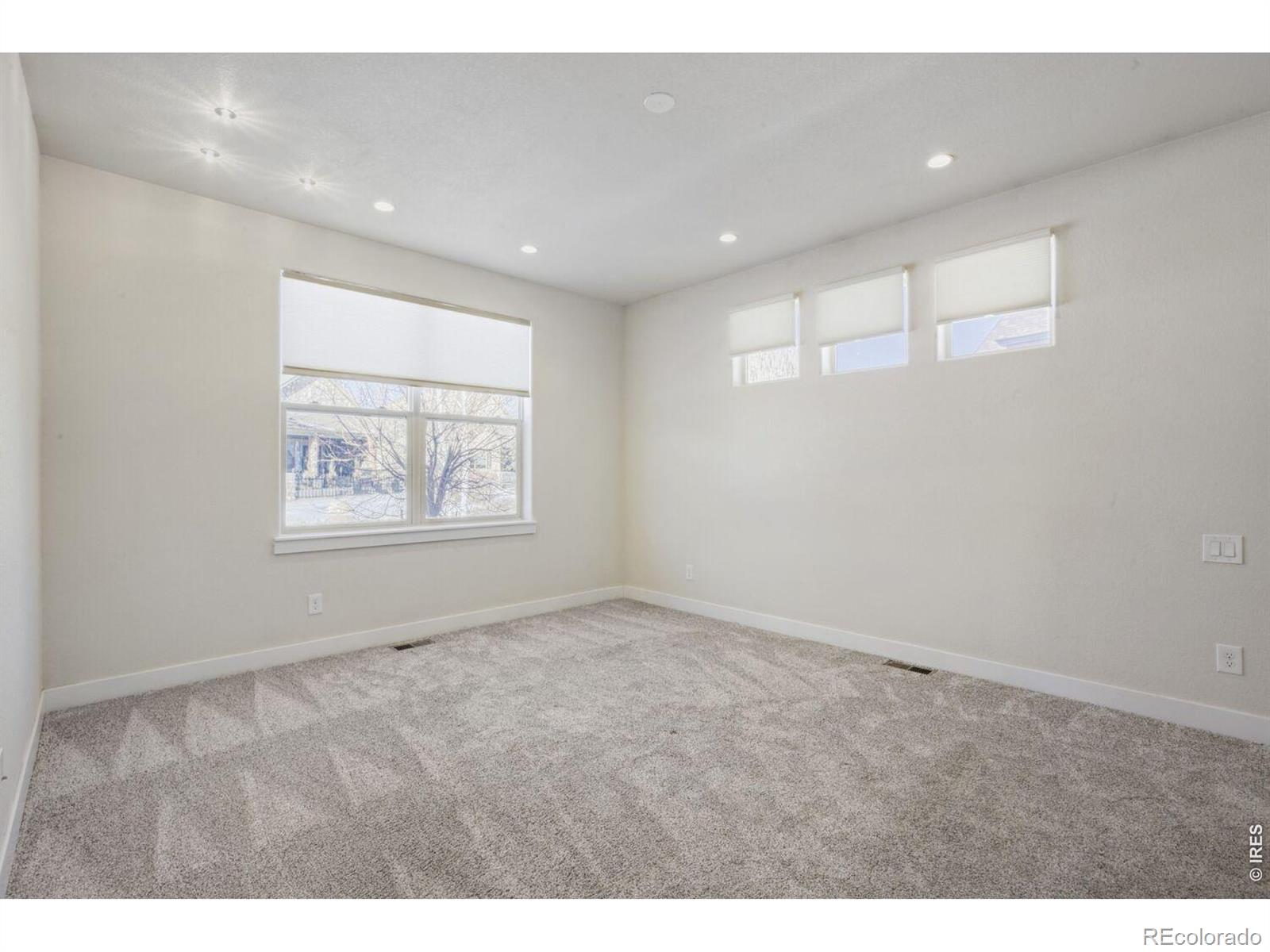 MLS Image #11 for 2078  vineyard drive,windsor, Colorado