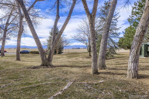 MLS Image #22 for 8678  decatur street 275,westminster, Colorado