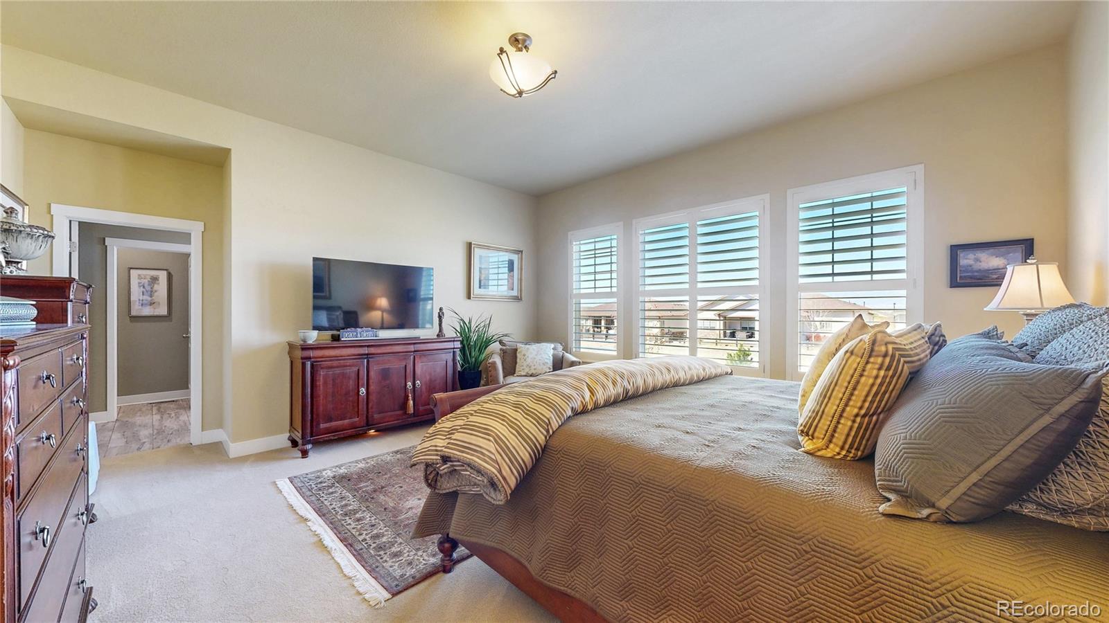 MLS Image #10 for 8605 s zante court,aurora, Colorado