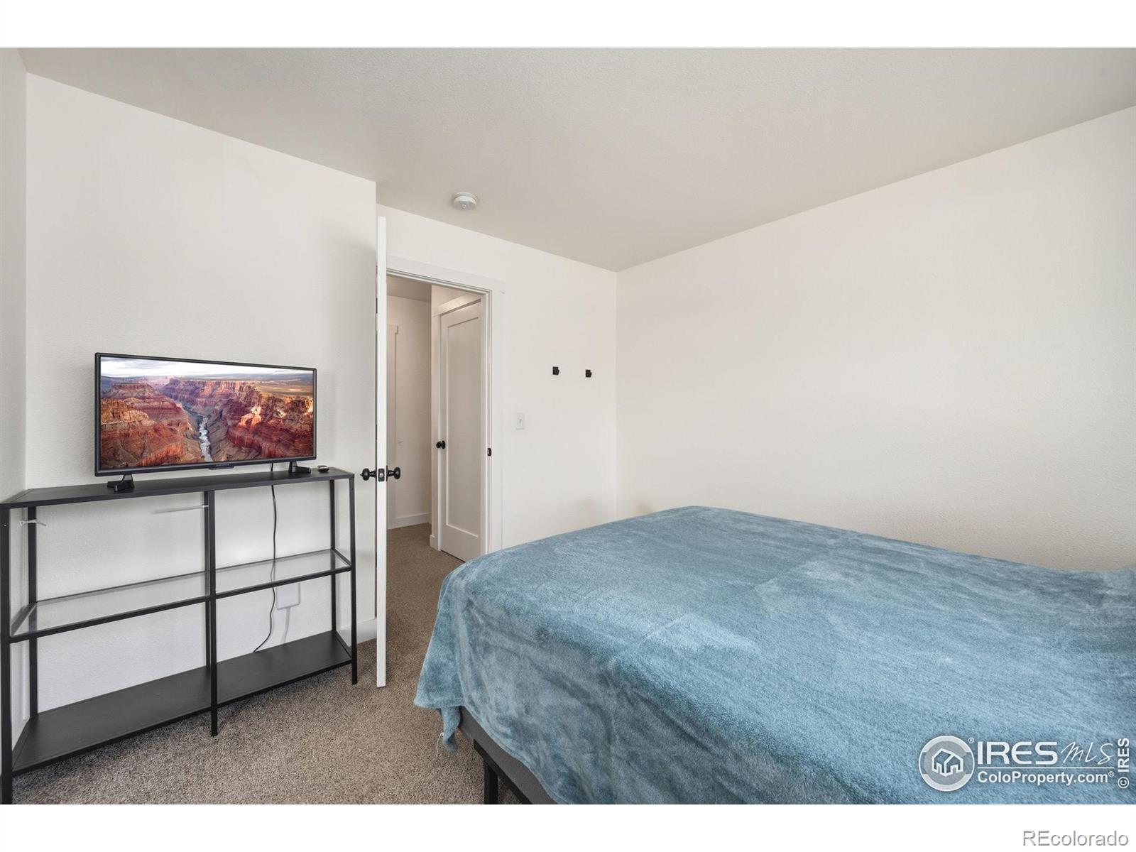 MLS Image #12 for 881  columbine drive,windsor, Colorado