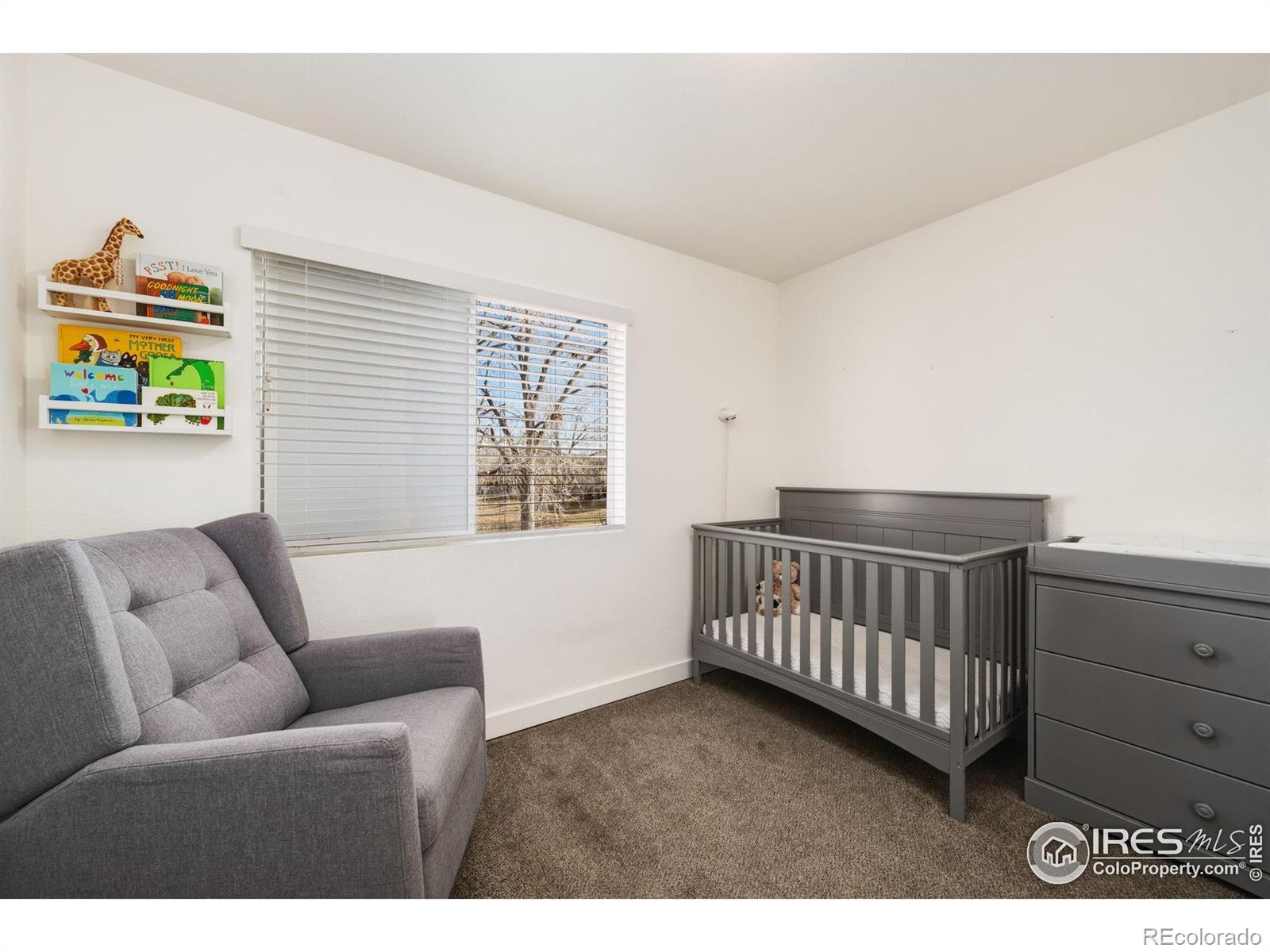 MLS Image #14 for 881  columbine drive,windsor, Colorado