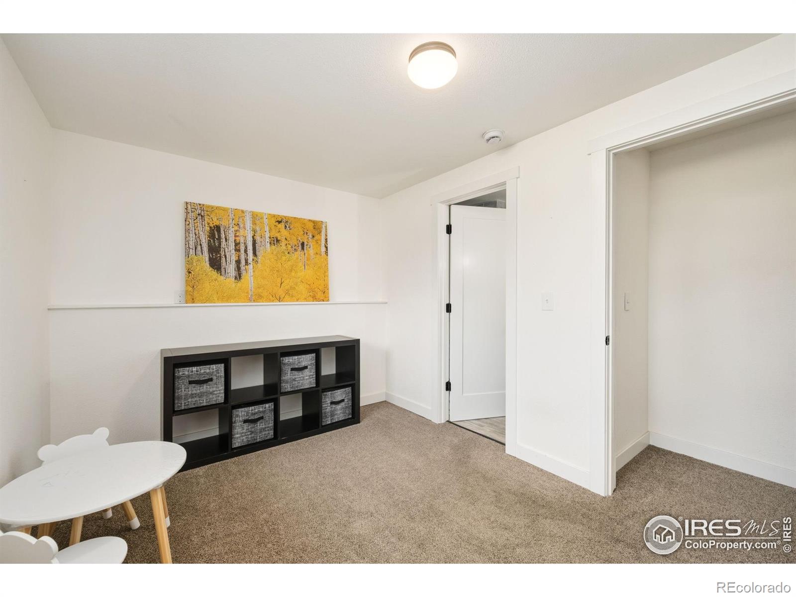 MLS Image #17 for 881  columbine drive,windsor, Colorado