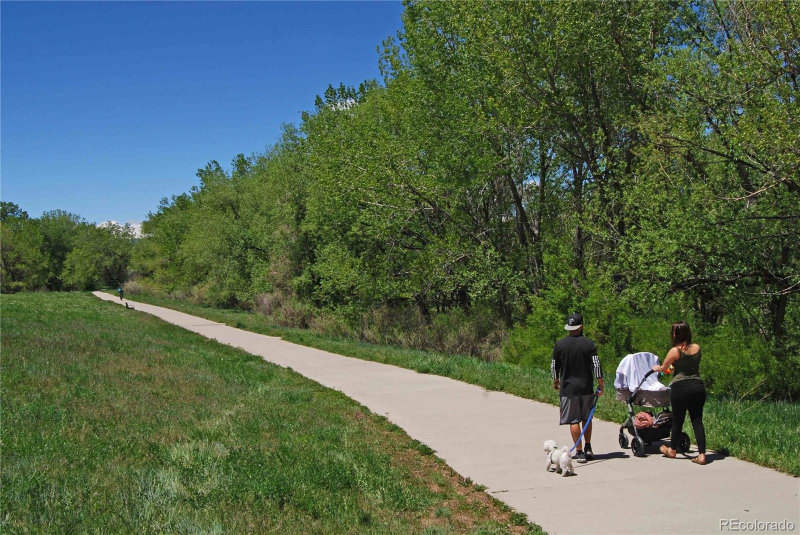 MLS Image #22 for 3355 s flower street,lakewood, Colorado