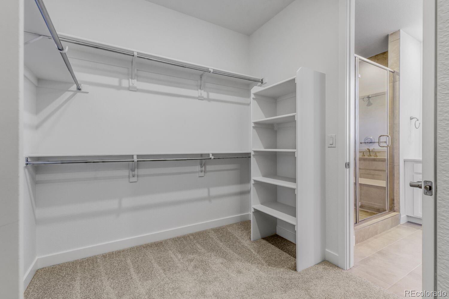 MLS Image #7 for 4001  buttongrass trail,castle rock, Colorado