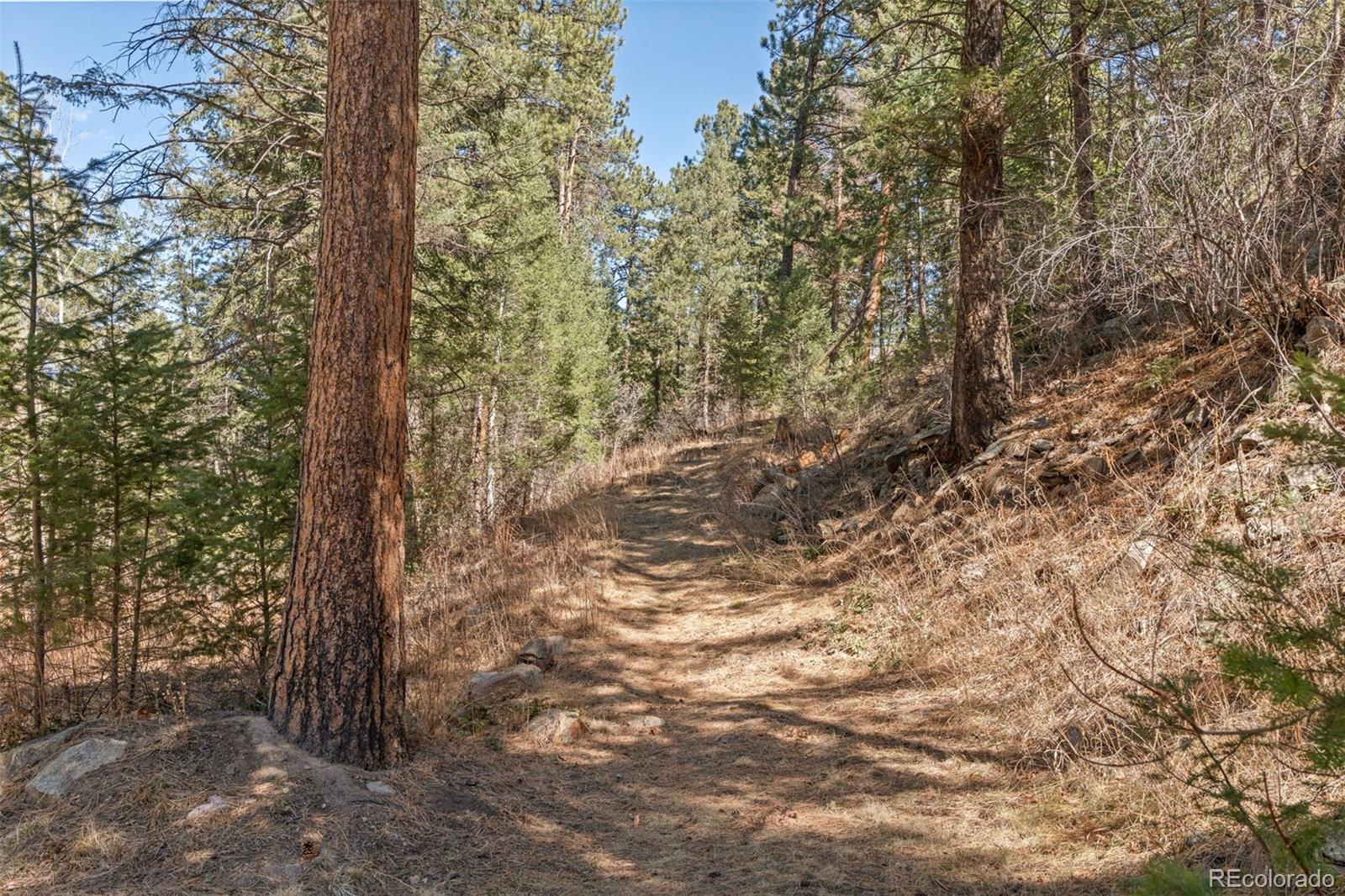 MLS Image #39 for 8722 s ault lane,morrison, Colorado