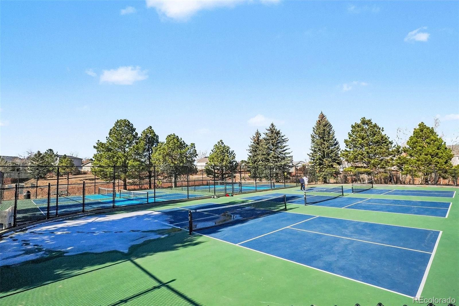 MLS Image #30 for 469  whisper wind lane ,castle rock, Colorado