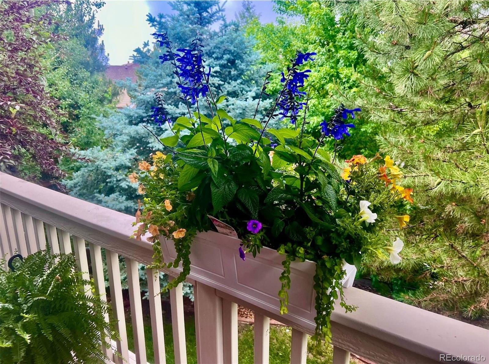 MLS Image #42 for 25045 e park crescent drive,aurora, Colorado