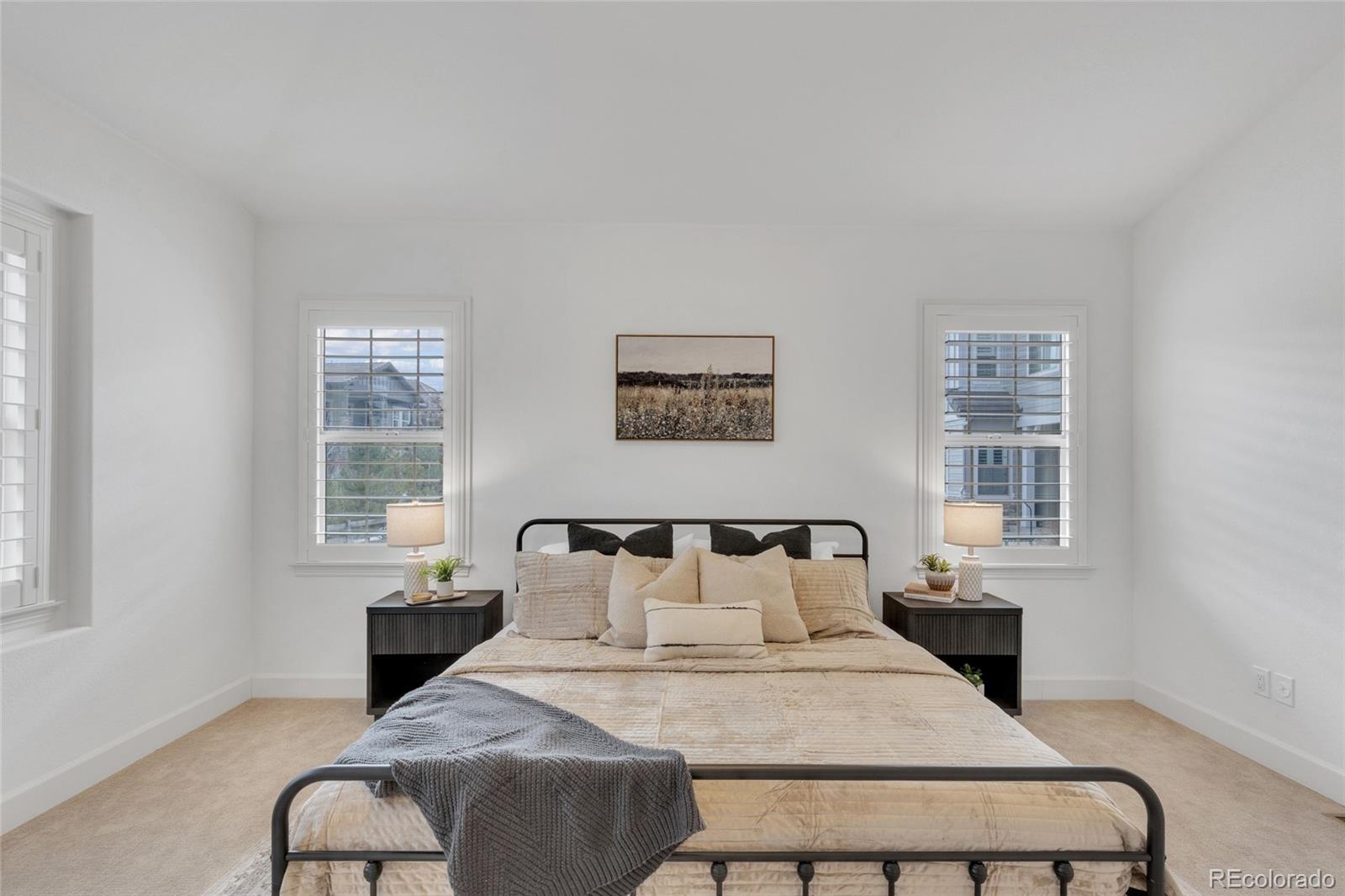 MLS Image #16 for 10632  star thistle court,highlands ranch, Colorado