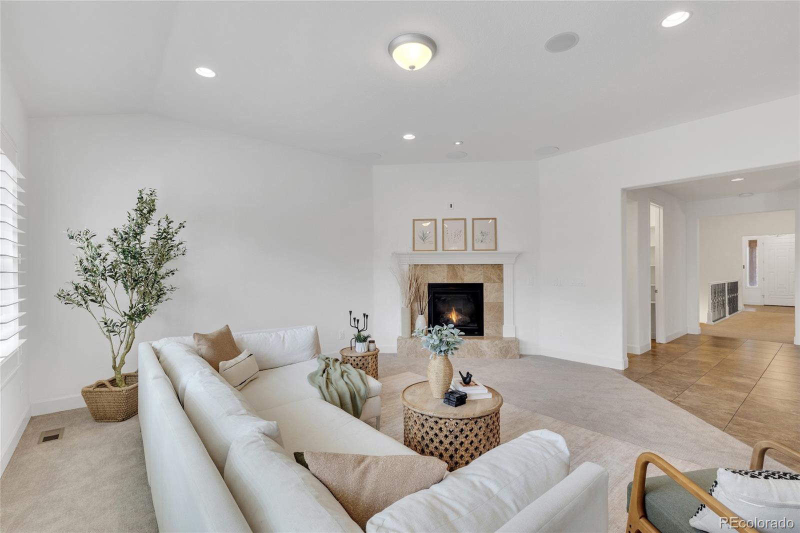 MLS Image #4 for 10632  star thistle court,highlands ranch, Colorado
