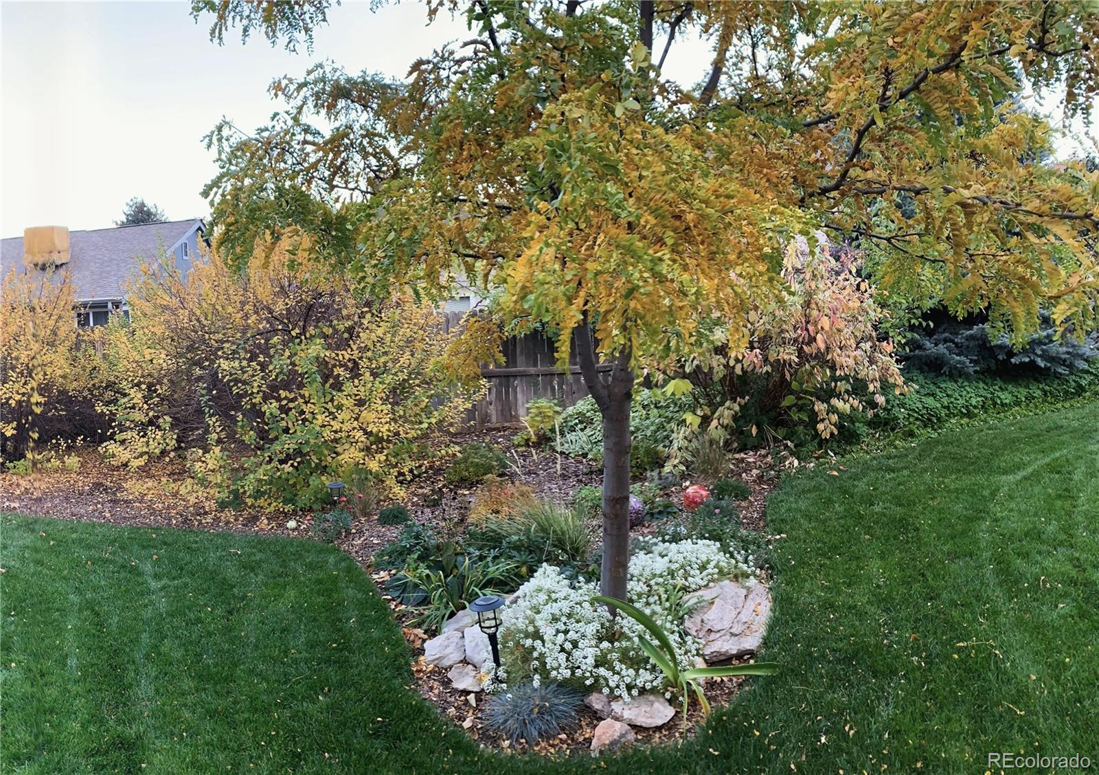 MLS Image #25 for 9461 w baltic court,lakewood, Colorado