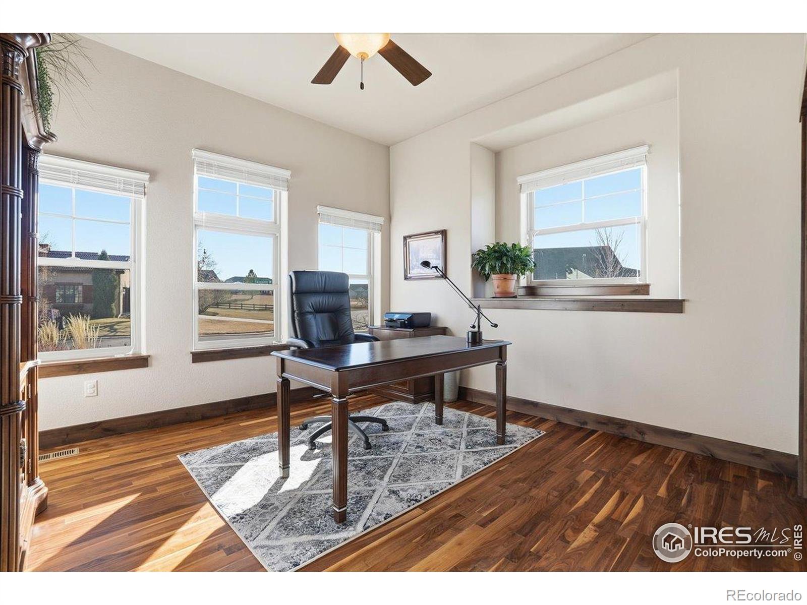 MLS Image #16 for 973  skipping stone court,timnath, Colorado