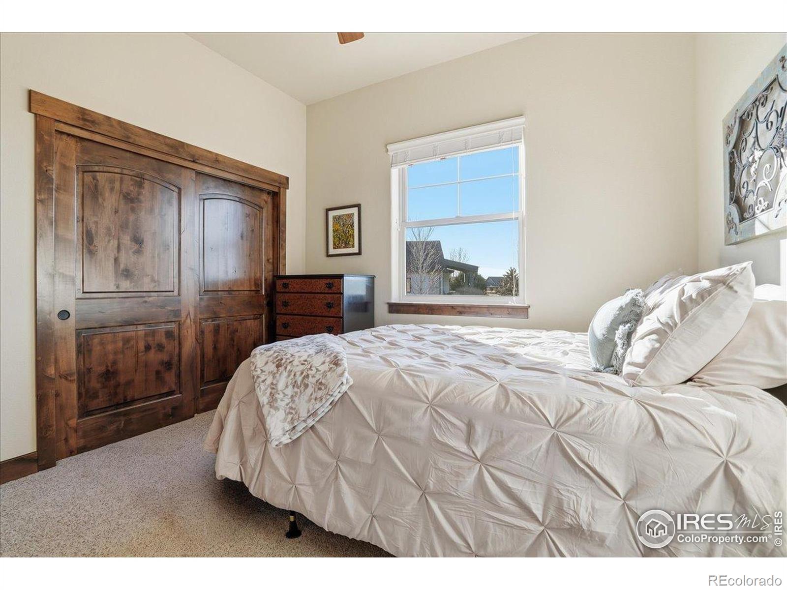 MLS Image #17 for 973  skipping stone court,timnath, Colorado