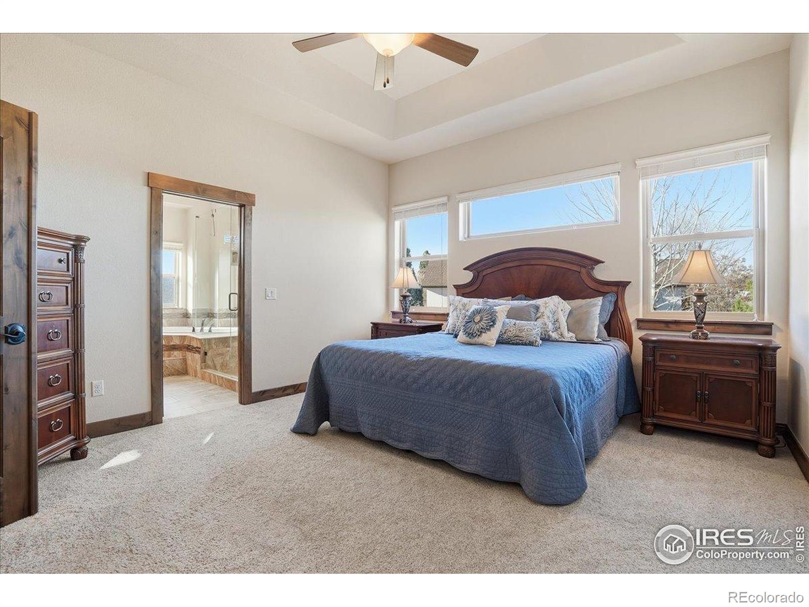 MLS Image #19 for 973  skipping stone court,timnath, Colorado