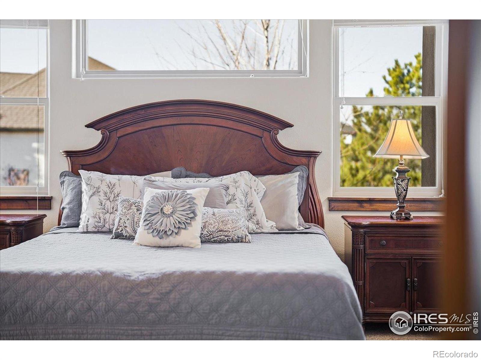 MLS Image #20 for 973  skipping stone court,timnath, Colorado