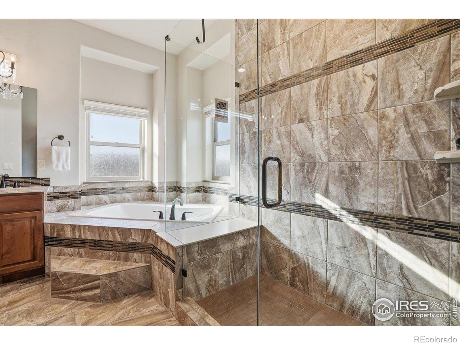 MLS Image #21 for 973  skipping stone court,timnath, Colorado