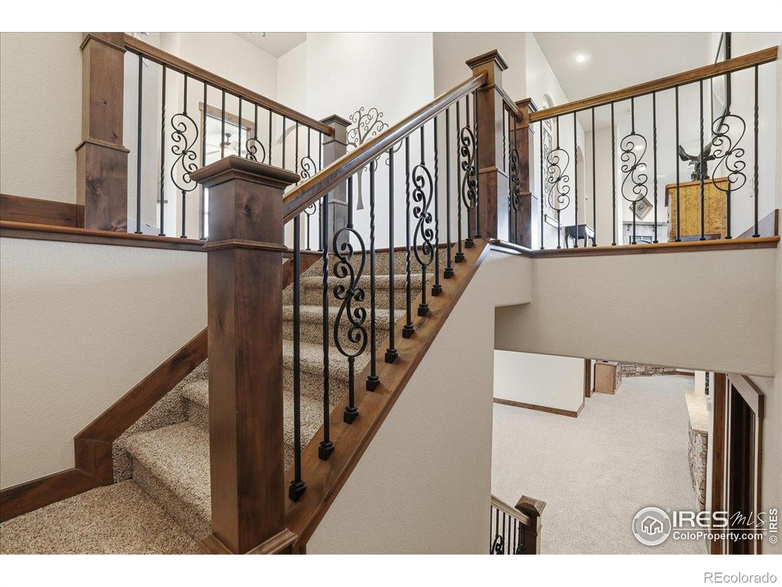 MLS Image #27 for 973  skipping stone court,timnath, Colorado